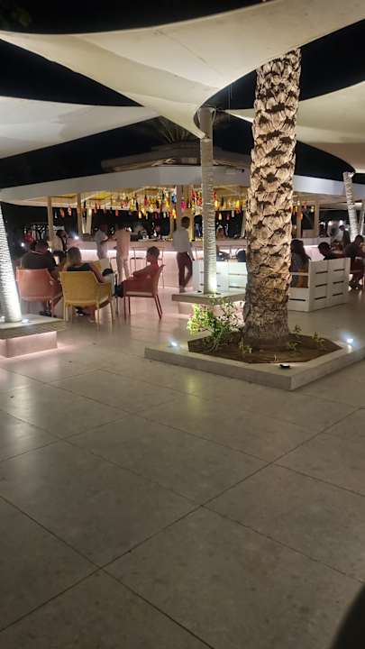 Sonstiges Desert Rose