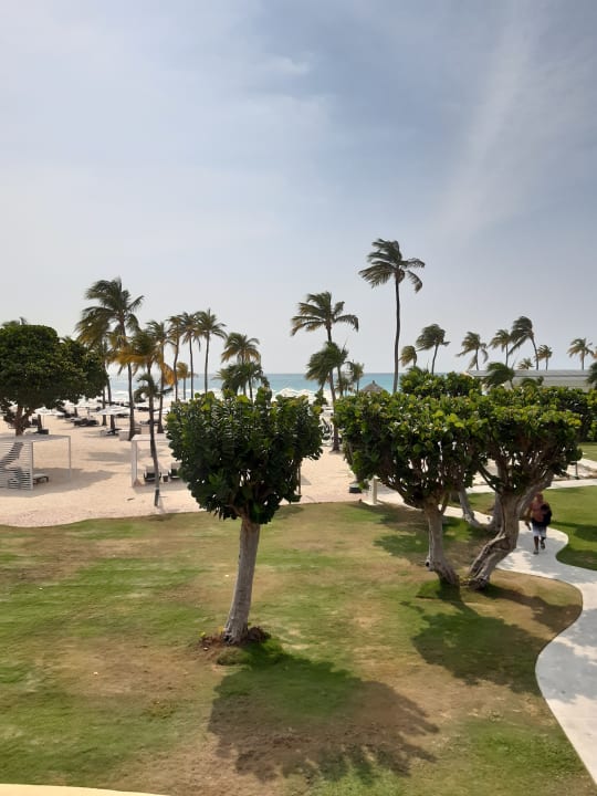 Gartenanlage Bucuti & Tara Beach Resort - Adults only