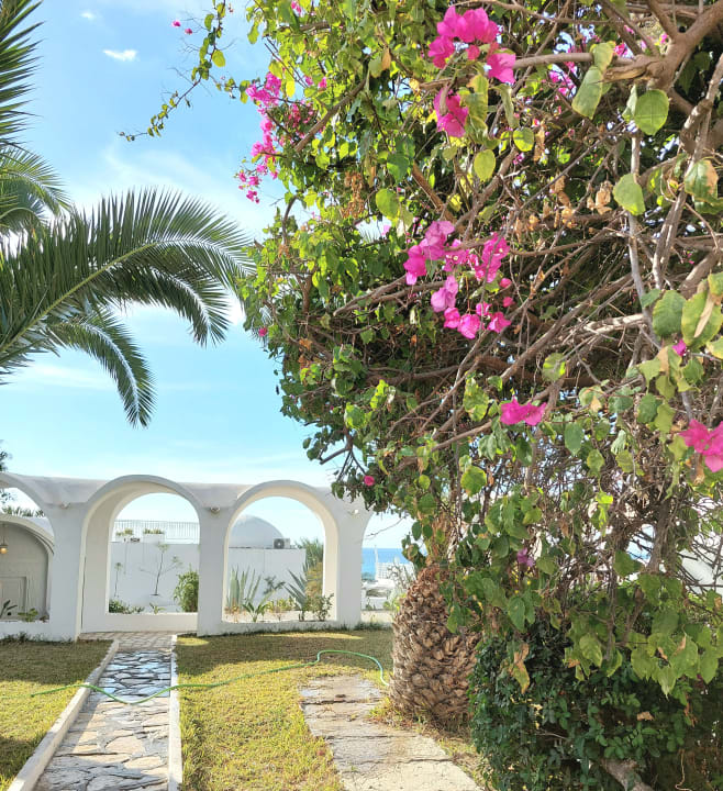 Gartenanlage The Sindbad