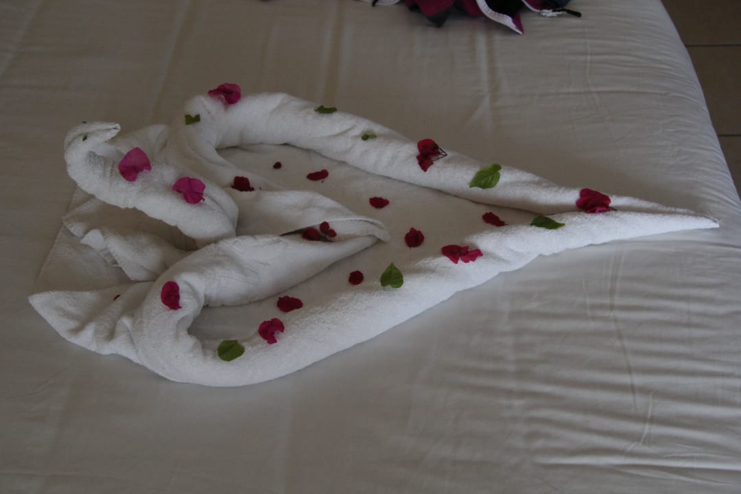 Jeden Nachmittag ein Motiv aus neuen Handtüchern! Hotel JAZ Makadi Star & Spa