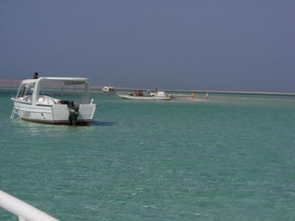 auf dem Meer Beach Albatros Resort