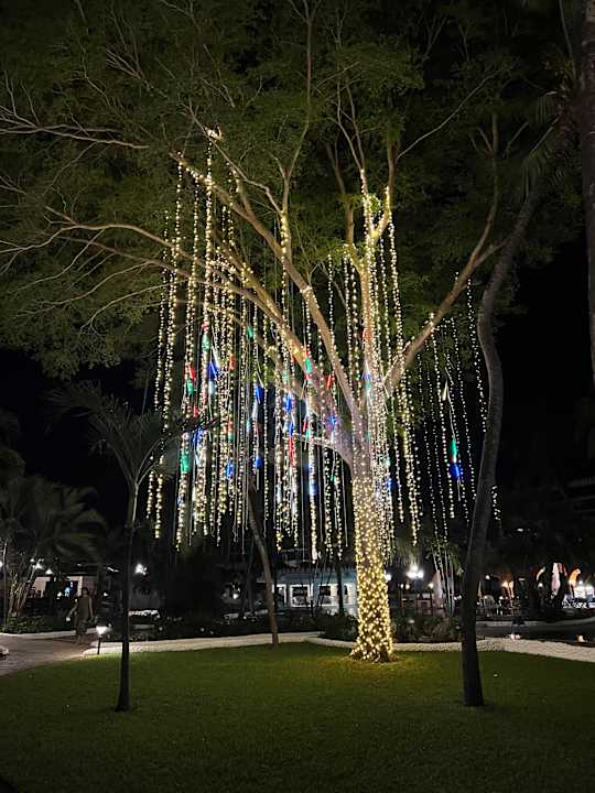 Gartenanlage Hotel Southern Palms Beach Resort