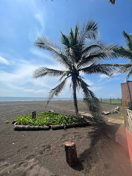 Strand Hotel Pez de Oro