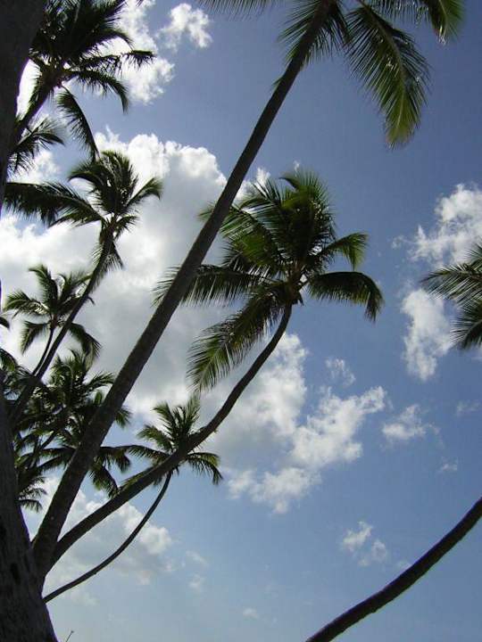 Palmen Grand Palladium Select Bávaro Resort & Spa