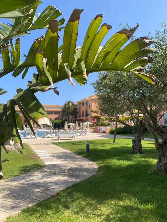 Pool Grupotel Macarella Suites and Spa