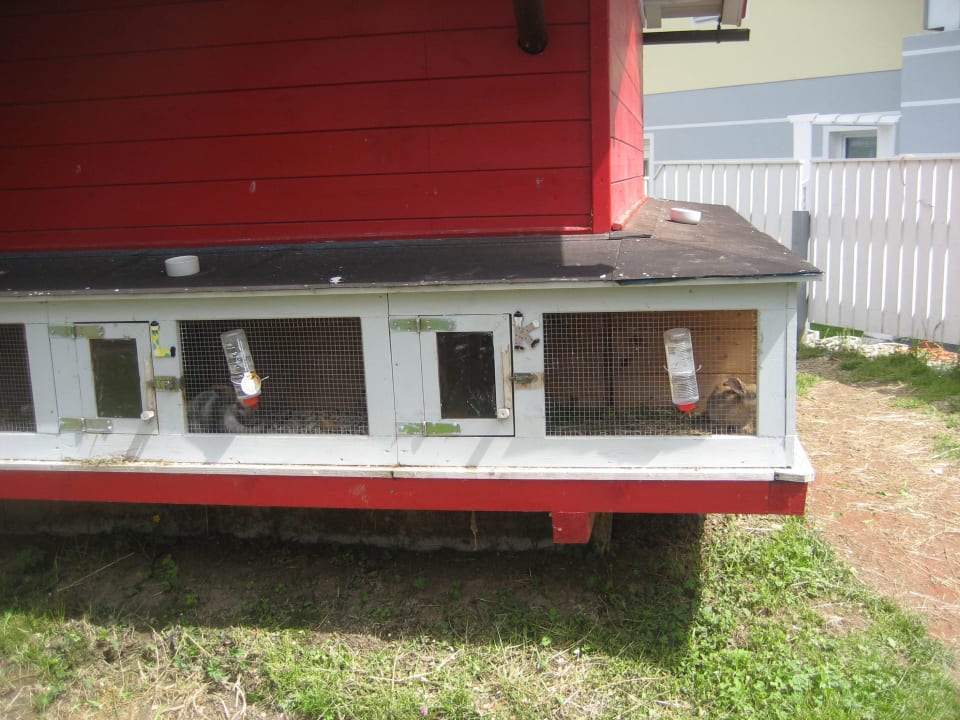 Hasenhotel Embacher Sporthotel