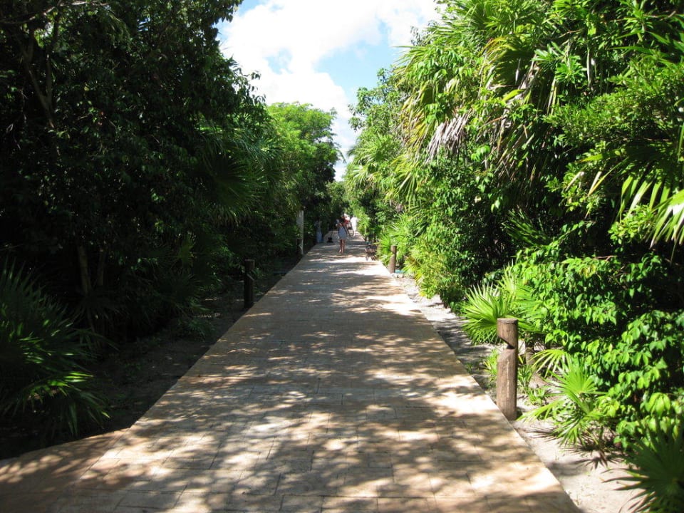Zwischen Pool und Lobby Catalonia Playa Maroma