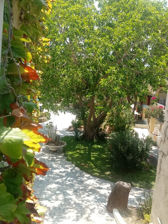 Ausblick Apollon Hotel