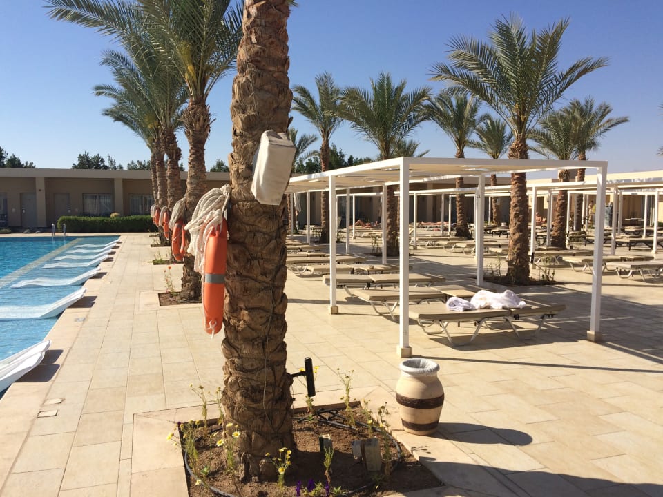 Pool Steigenberger Makadi Hotel - Adults only
