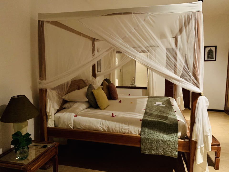 Zimmer Ocean Village Club