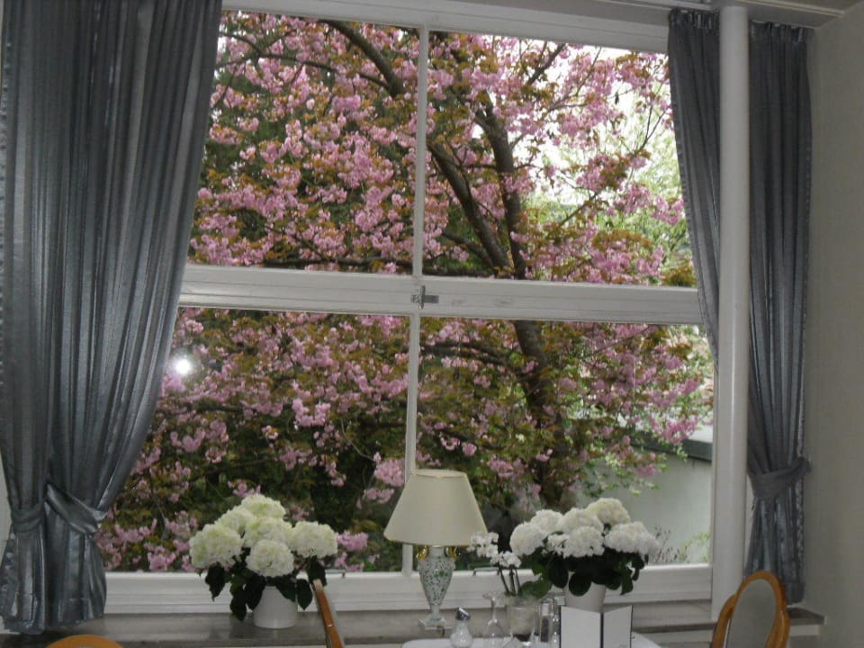 Blick aus dem Speisesaal Westpark Hotel