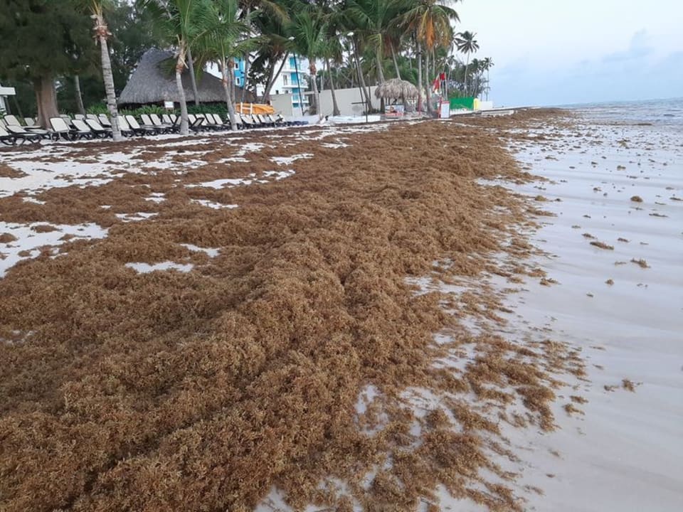 Strand Impressive Premium Punta Cana