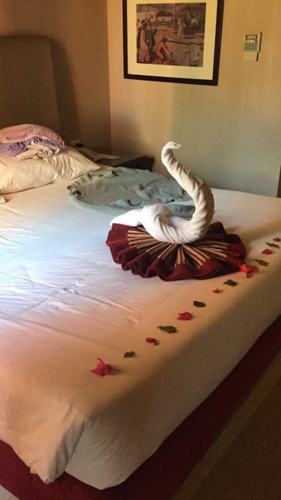 Zimmer Jaz Makadi Oasis Resort