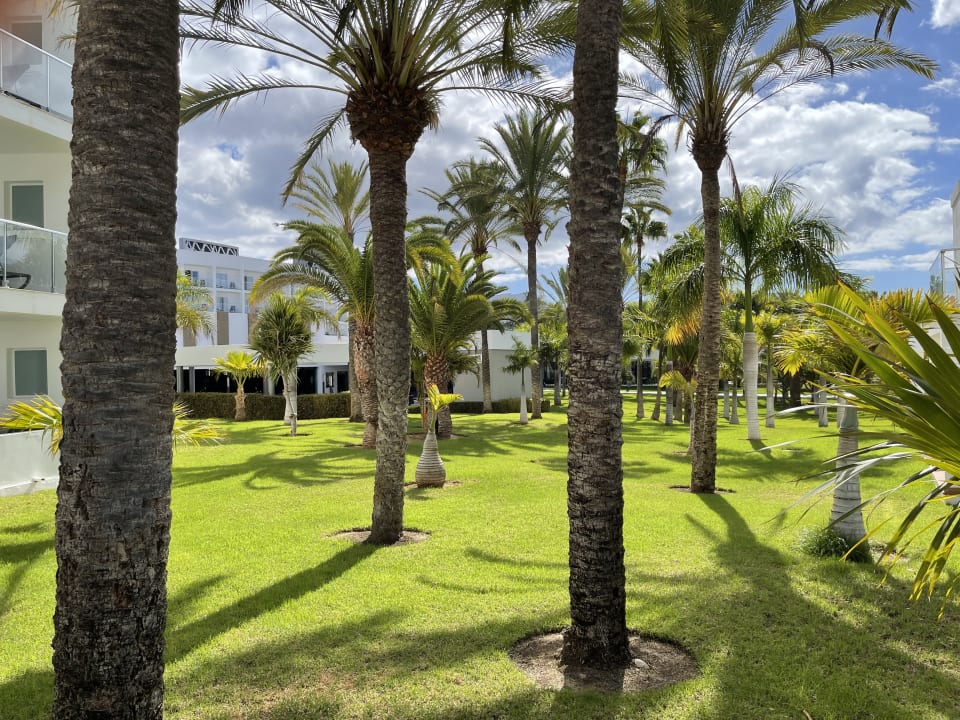 Gartenanlage Hotel Riu Palace Meloneras