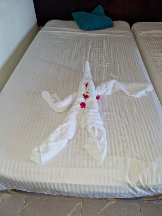 Zimmer Malikia Resort Abu Dabbab