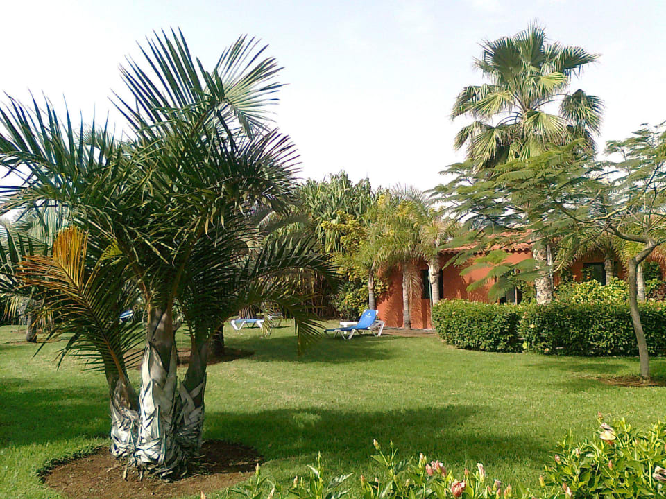 Garten bei der Sauna La Palma Princess