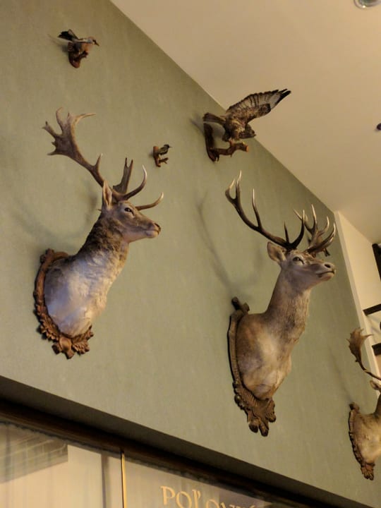 Sonstiges Hotel Apollo