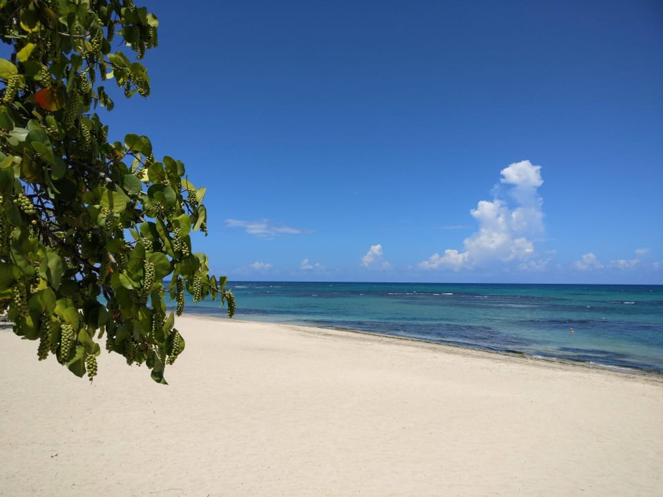 Strand Iberostar Waves Costa Dorada