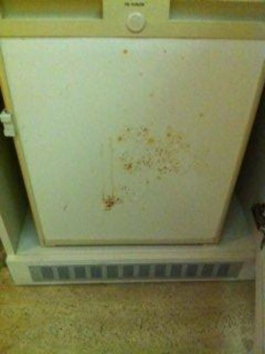 Der Kühlschrank auf unserem Zimmer Duja Bodrum