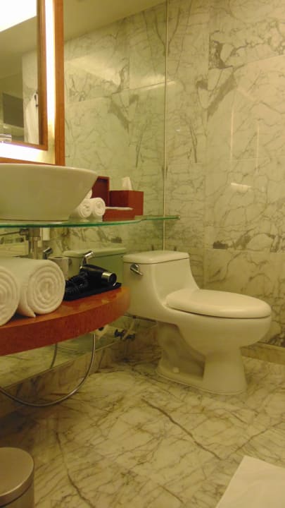 Zimmer Hotel Hyatt Regency Delhi