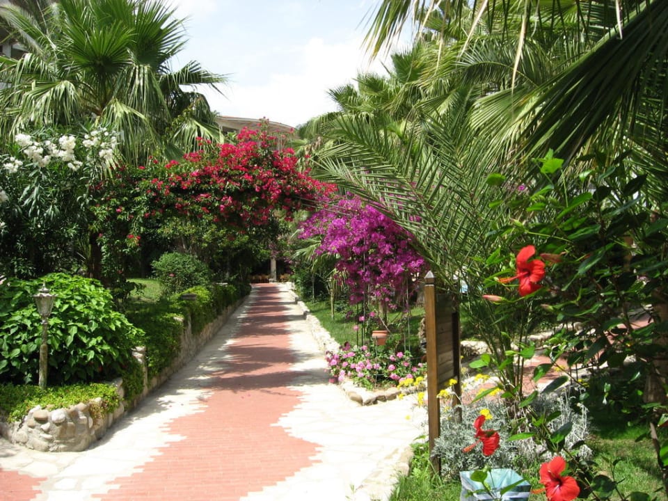 Weg vom Strand zum Hotel Hotel Defne Garden