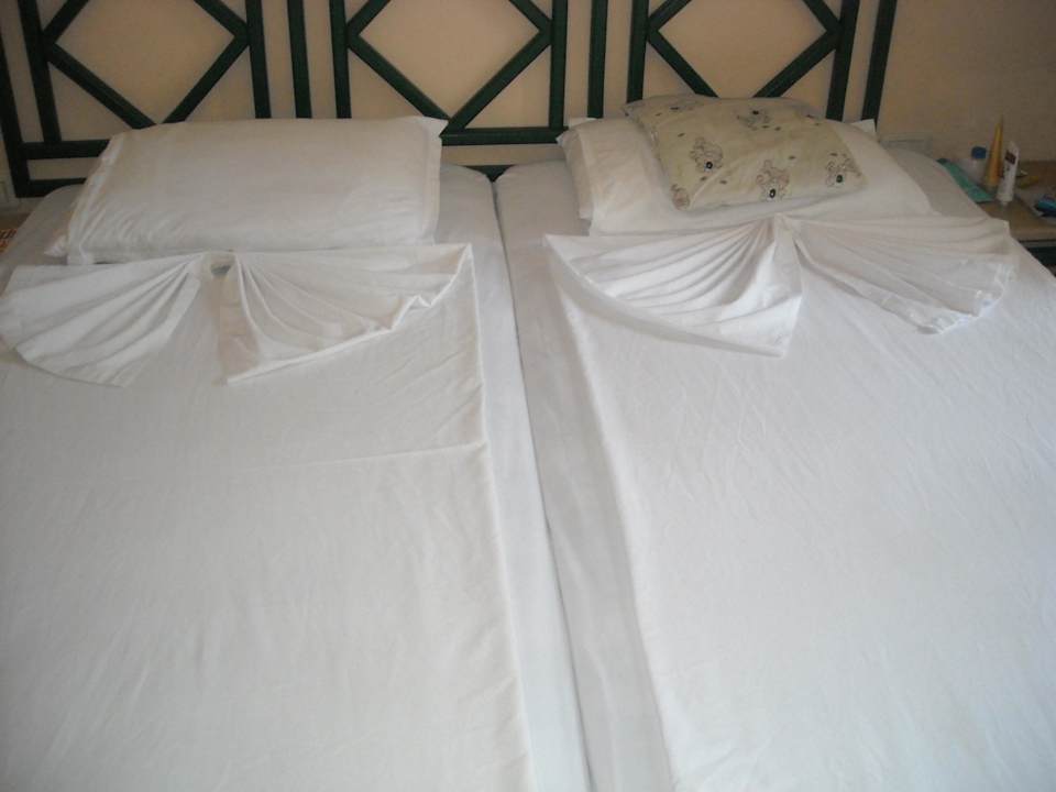 Hotel Club Eden   Eden Club