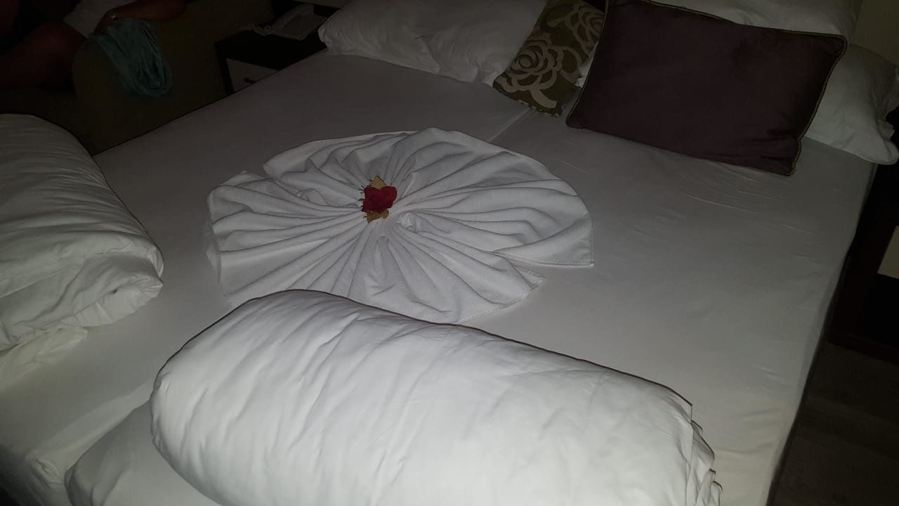 Toll Dekoriert  Side Alegria Hotel & Spa - Adults only +16