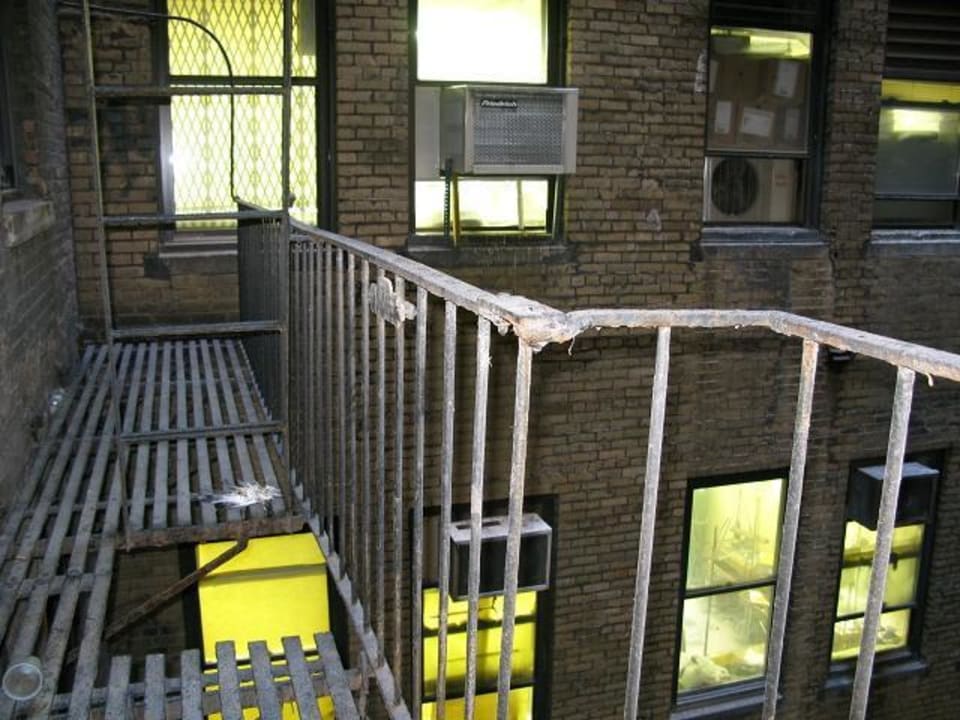 Blick zum Hof auf Feuerleiter mit totem Vogel St. James Hotel