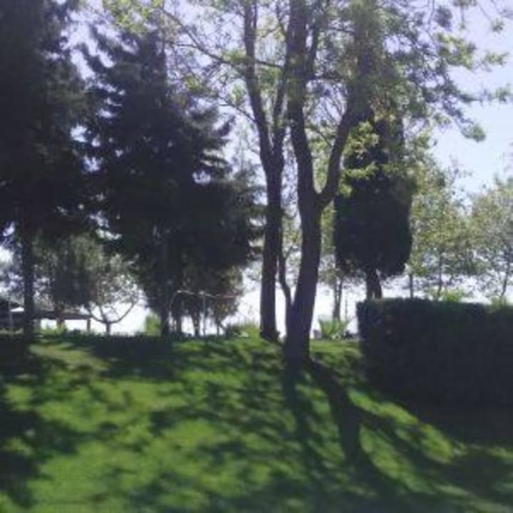 Природа на территории отеля Limak Limra Hotel & Resort