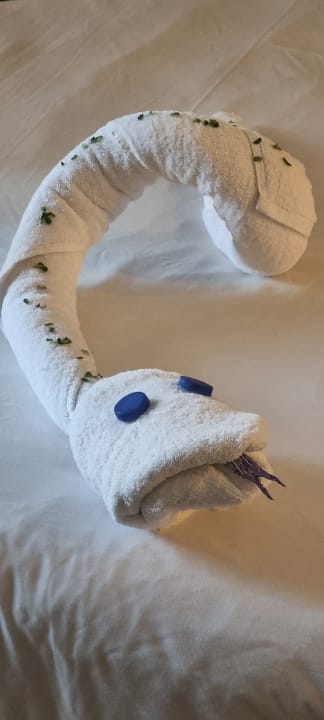 Zimmer Stella Beach Resort & Spa Makadi Bay