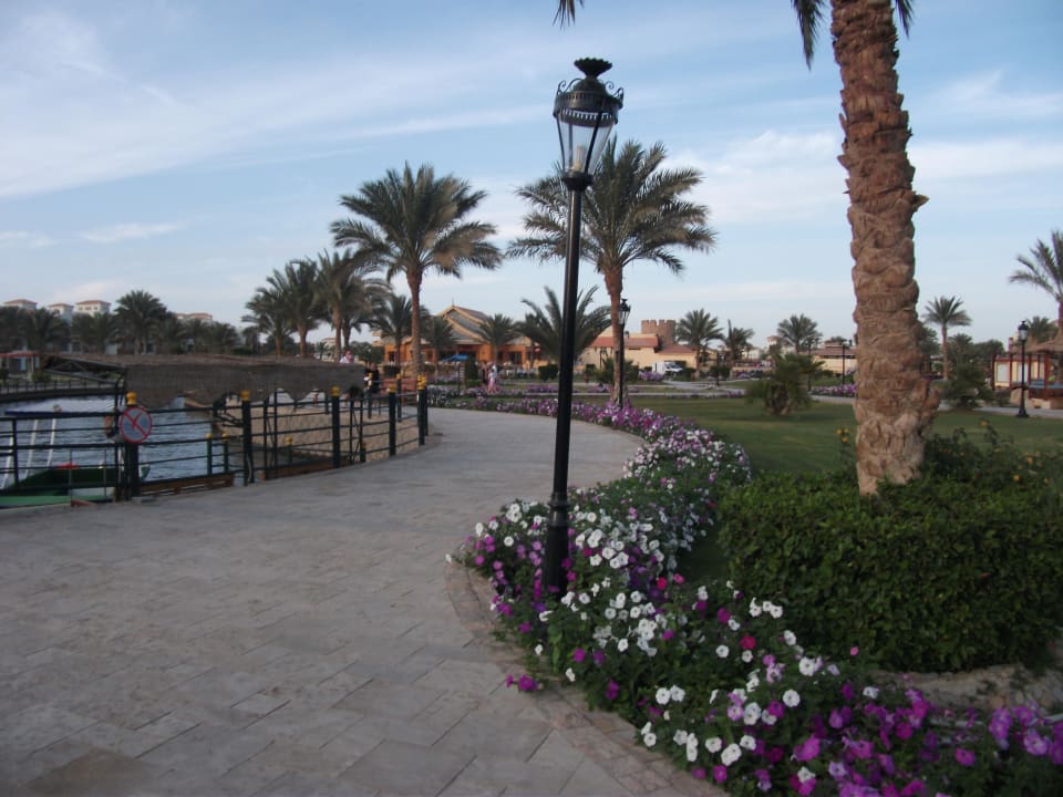Im Garten Pickalbatros Dana Beach Resort - Hurghada