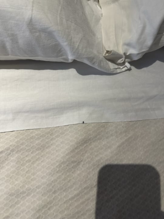 Zimmer Hotel Melia Cayo Coco - Adults only