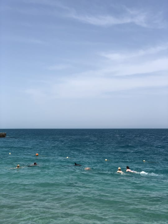 Strand Palm Beach Resort