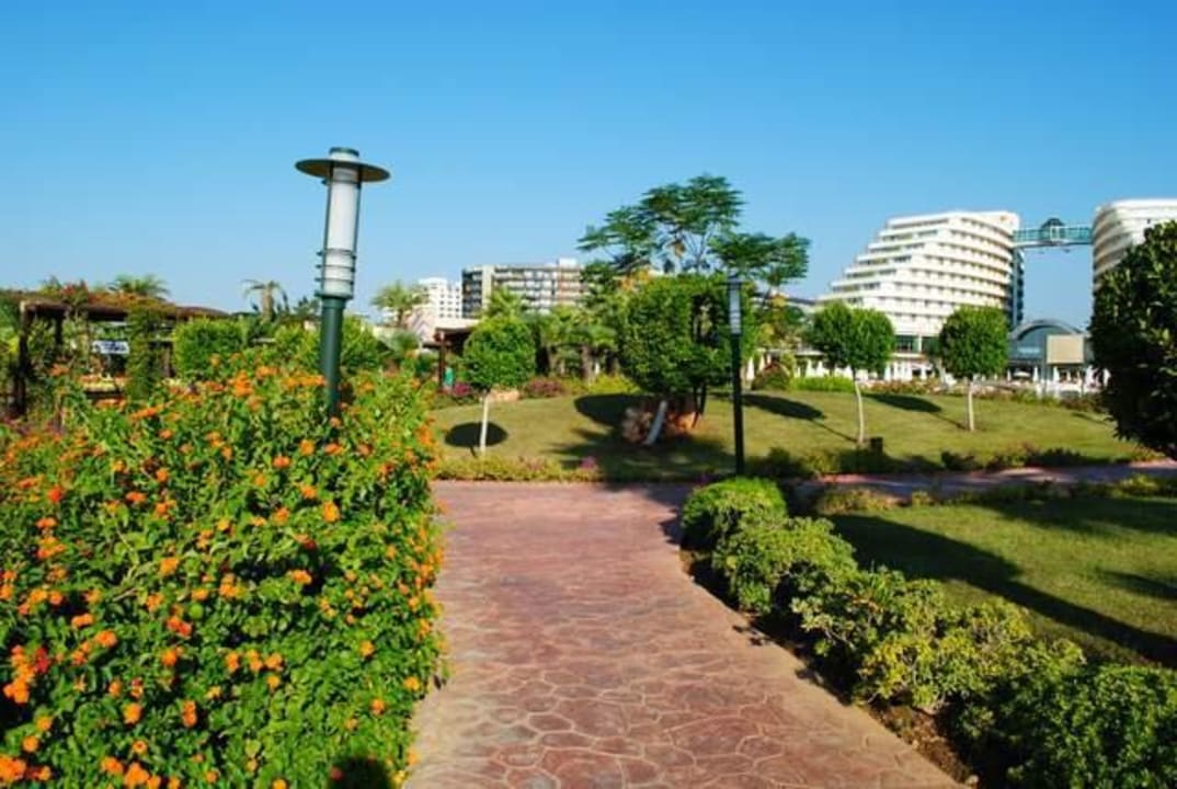 Zadbany ogrod Hotel Miracle Resort