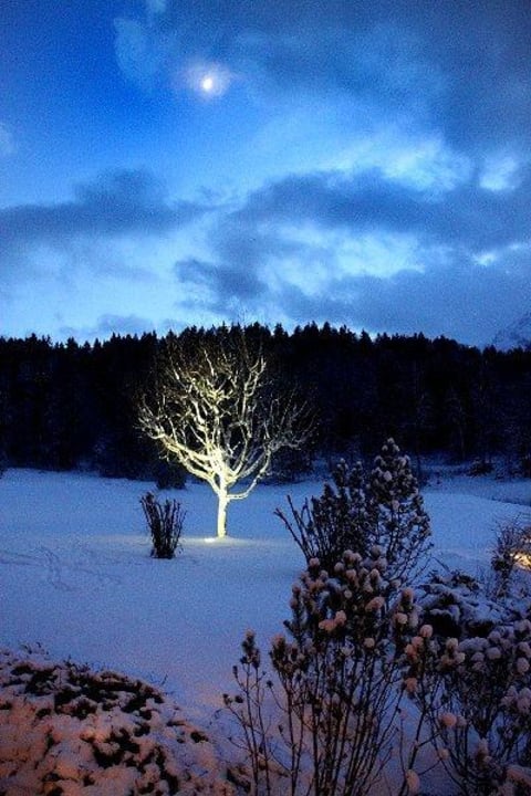 Blick vom Balkon Alm- & Wellnesshotel Alpenhof