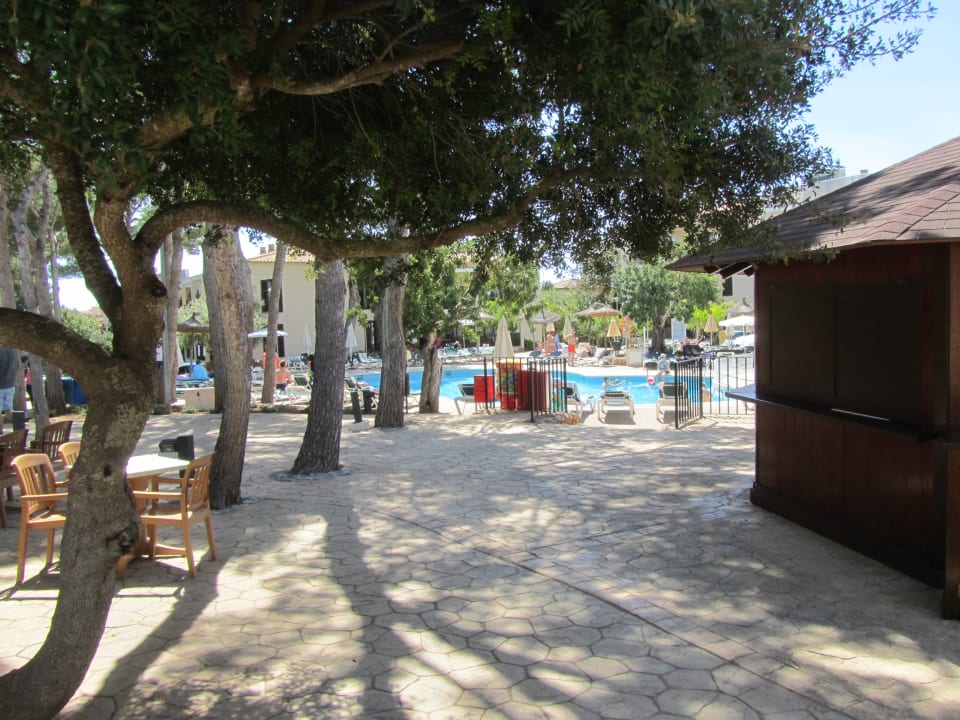 Pool Protur Floriana Resort Aparthotel