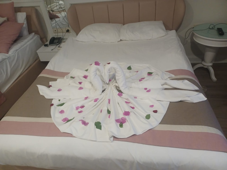 Zimmer Hotel Delphin Diva