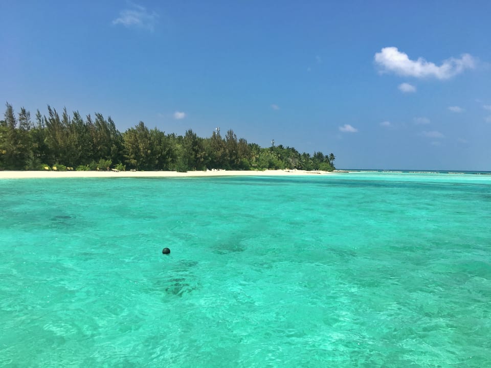 Unser erster Eindruck bei Ankunft Summer Island Maldives