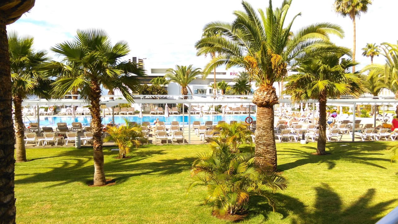 Pool Hotel Riu Arecas - Adults only