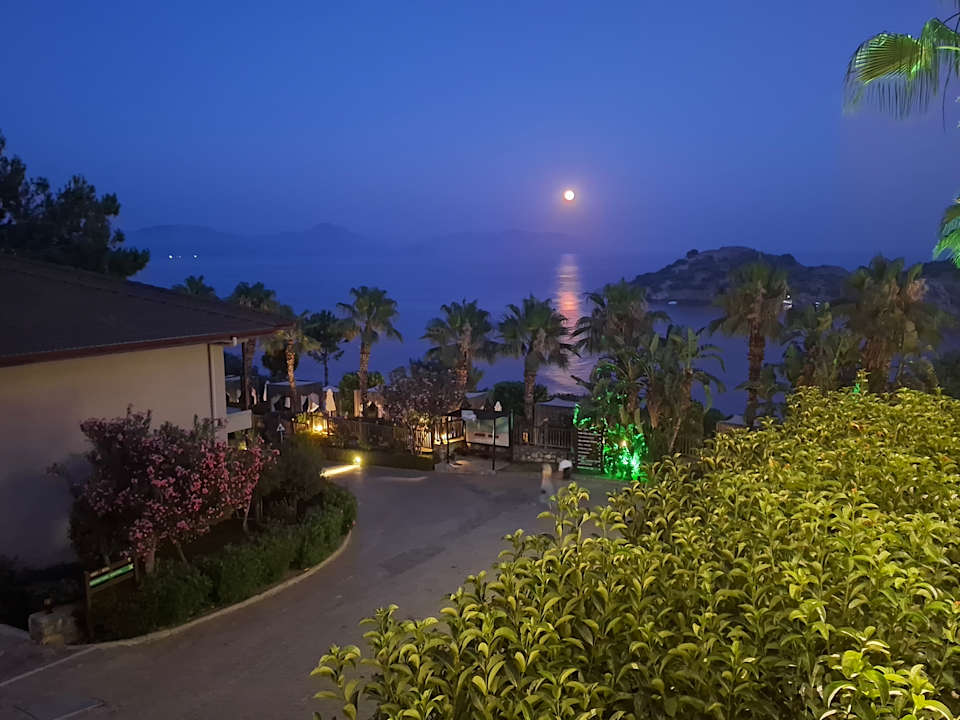 Gastro TUI BLUE Seno - Adults Only