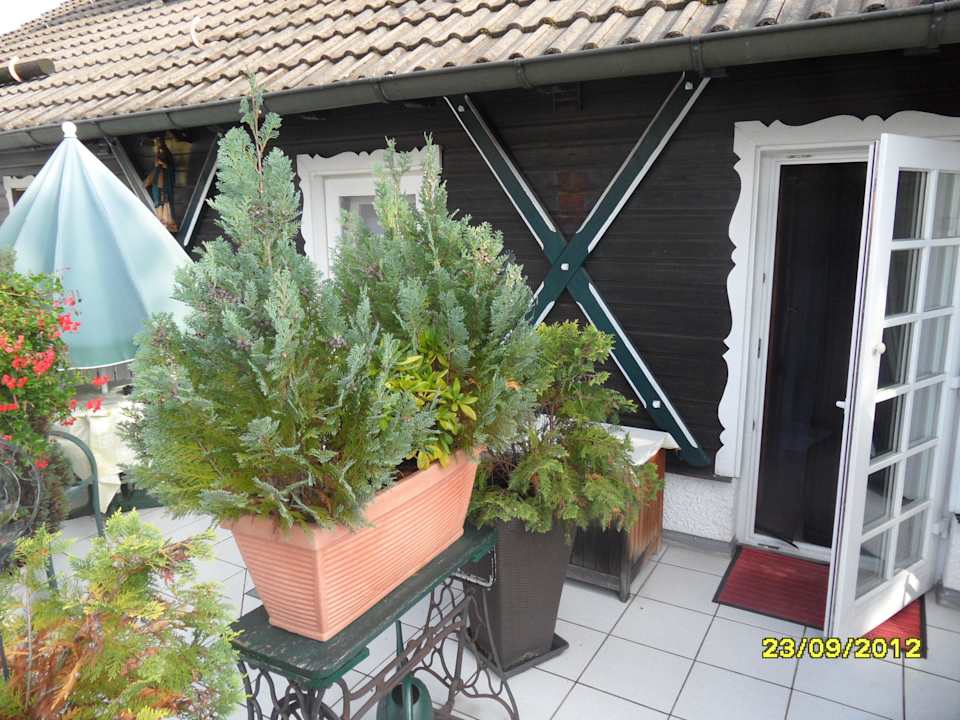 Pension Maibaum Pension am Maibaum