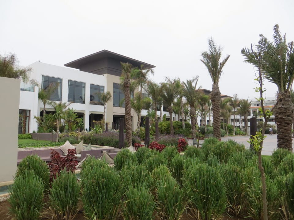 Pflanzen Hotel Riu Palace Tikida Agadir