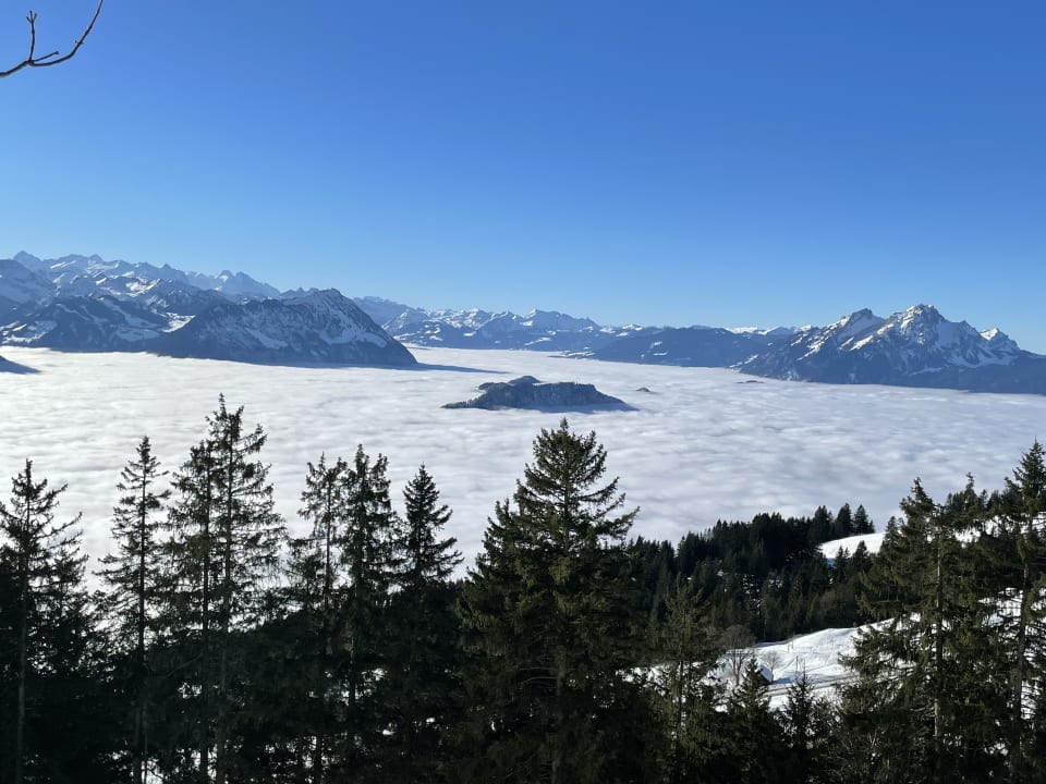 Ausblick Rigi Kaltbad Swiss Quality Hotel
