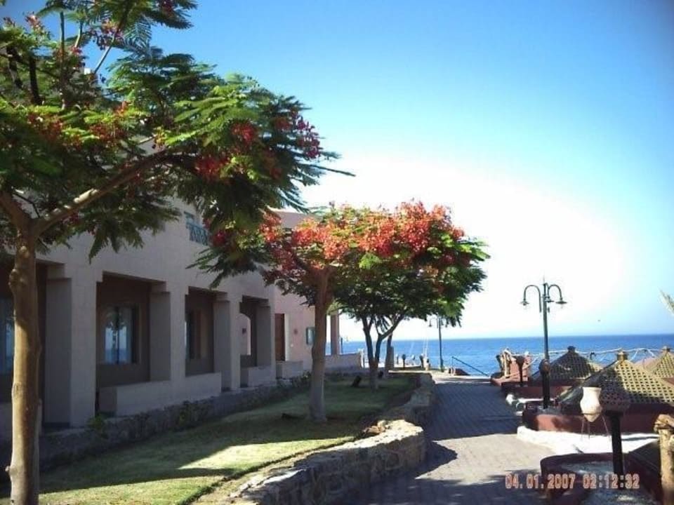 Blühende Pracht Sentido Akassia Beach