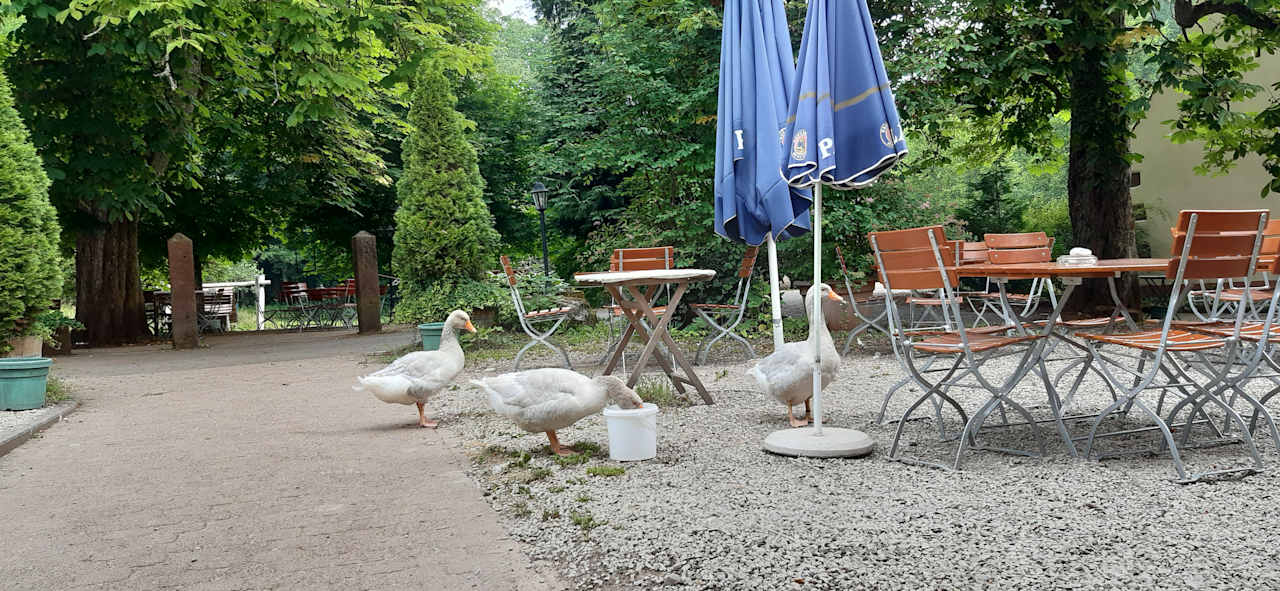 Gartenanlage Waldgaststätte Kneispermühle