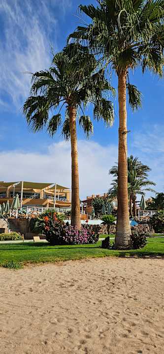 Gartenanlage Shams Prestige Abu Soma-Adults Only