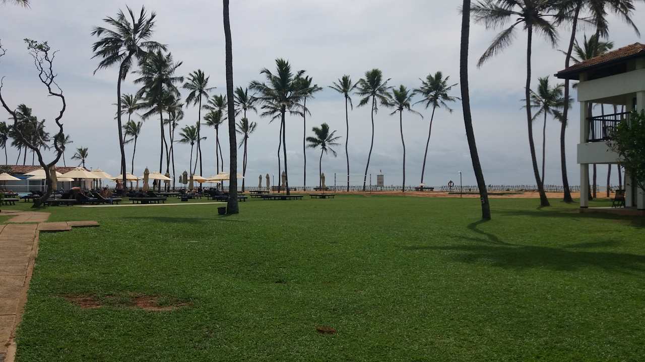 Garten Club Hotel Dolphin