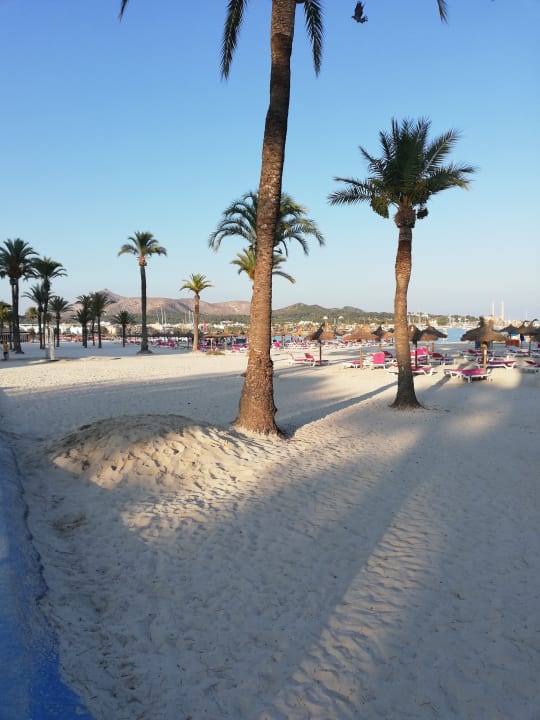 Strand BQ Delfin Azul Hotel