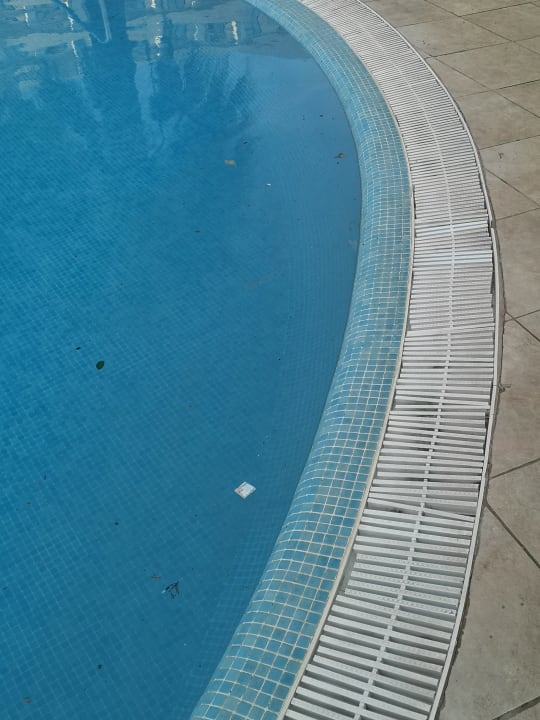Pool allsun App.-Hotel Orient Beach