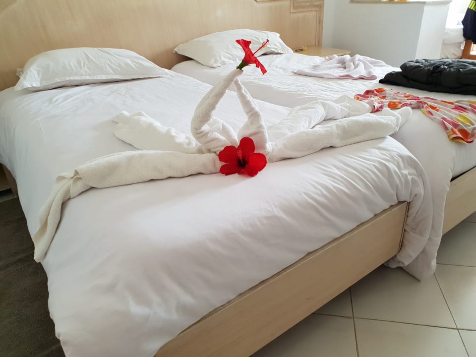 Zimmer One Resort Aqua Park & Spa